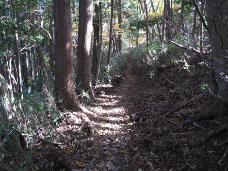 20171102hike (282)